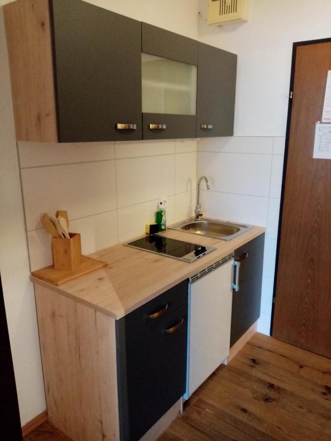 Apartment Diana Бад Гоисерн Экстерьер фото